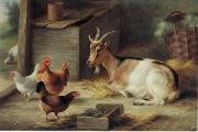 unknow artist poultry  162 oil on canvas